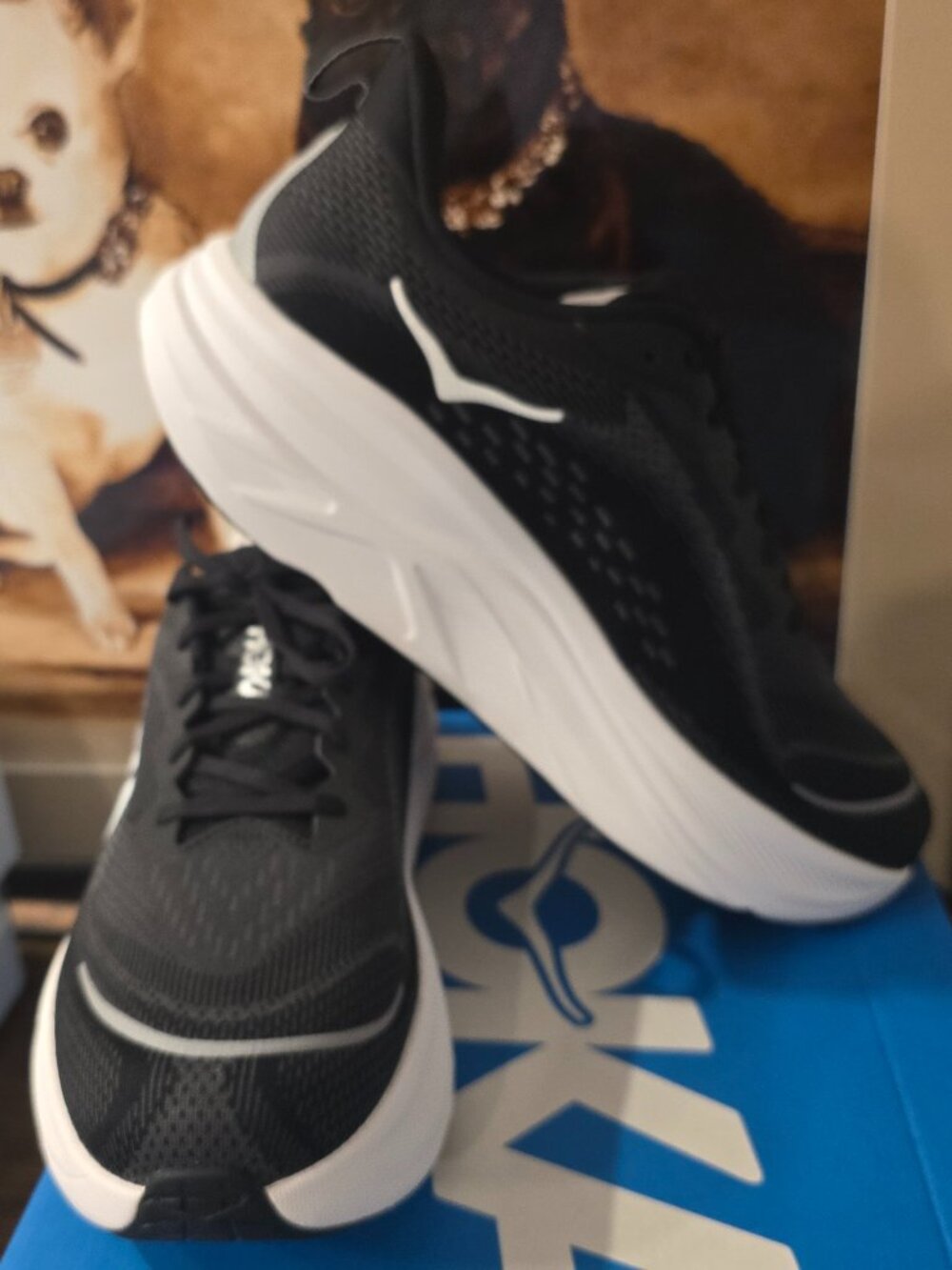 Hoka Men's Skyflow Running Shoes Black White 1155111-BWHT Hiking Trail Sz 12 NEW